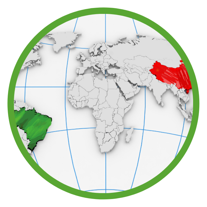 Research Group of Economics Brazil China